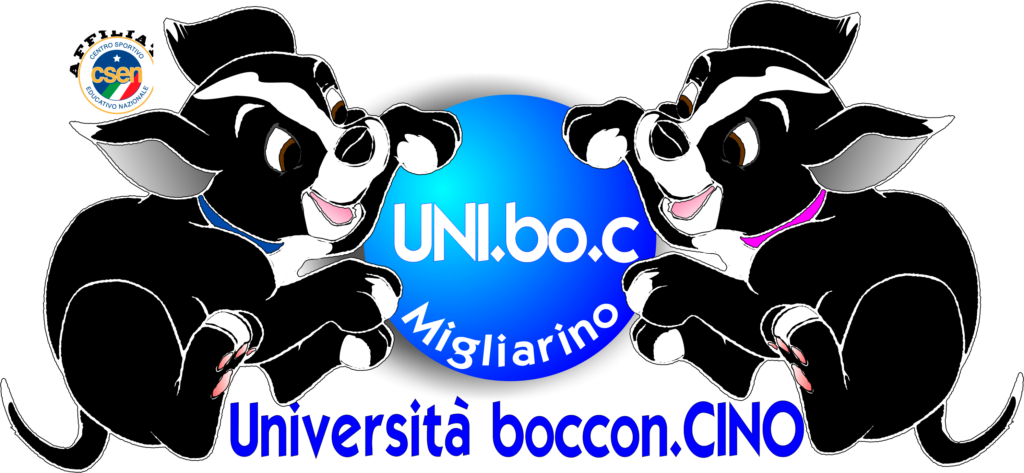 ASD Università boccon.cino